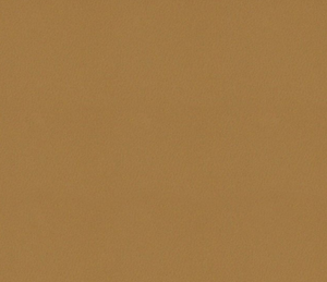 Lansing Sienna