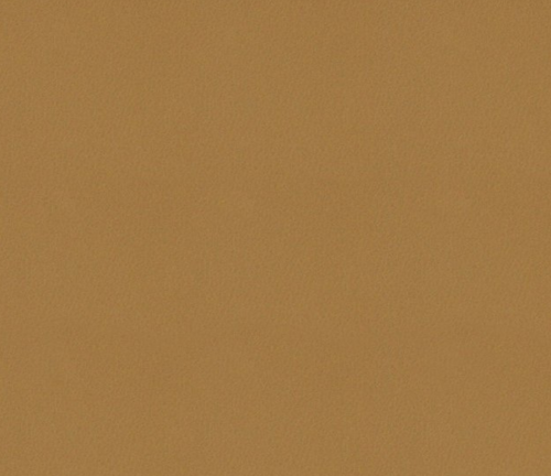 Lansing Sienna